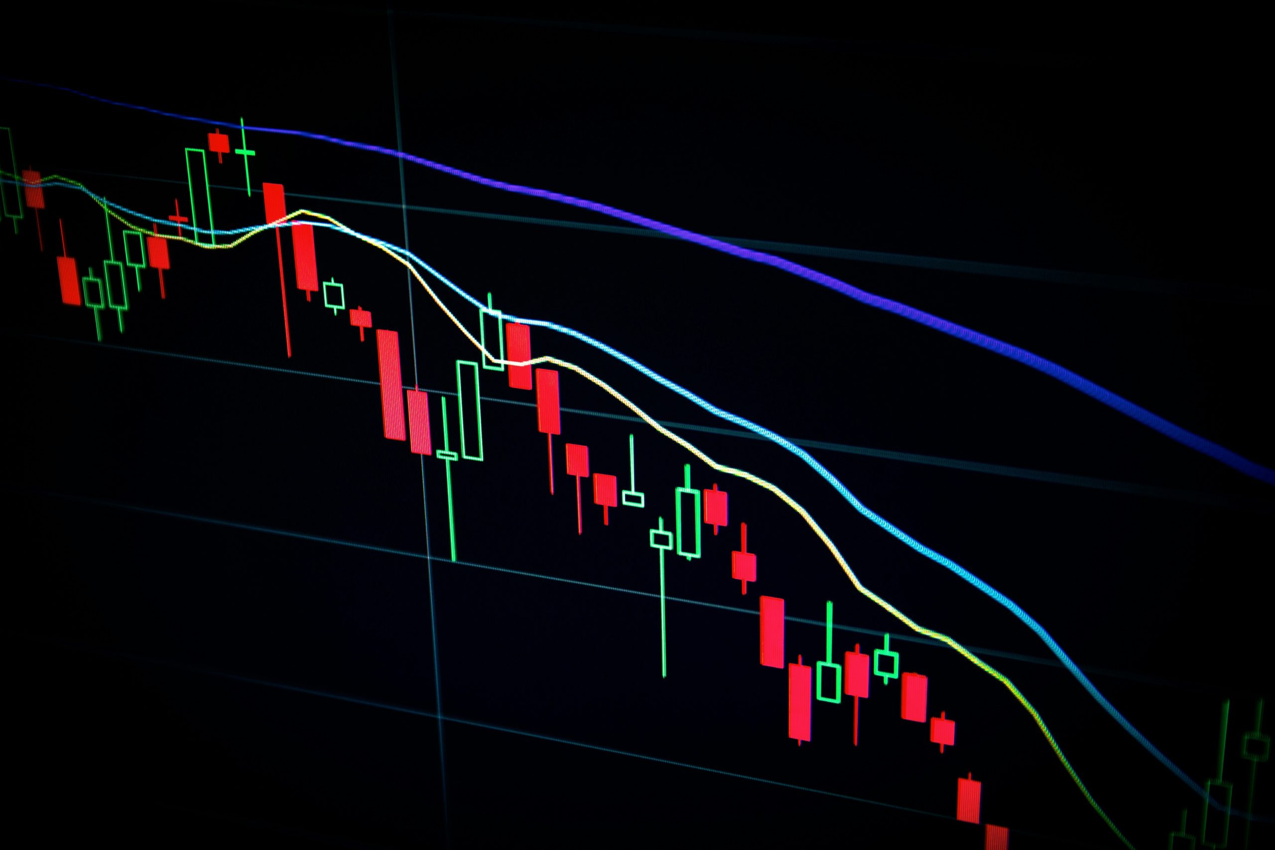 zongjobz trading